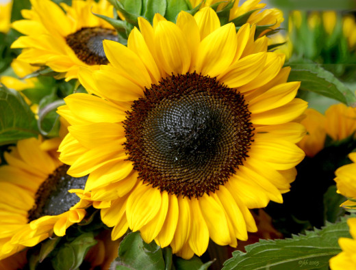 584442 (a): :1600x1215